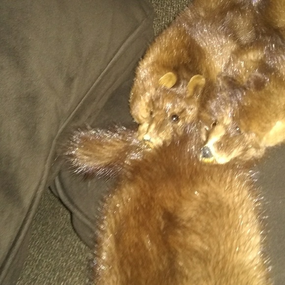 Fur - Picture 2 of 4